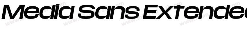 Media Sans Extended Bold字体转换